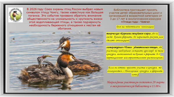 Экологический конкурс «Птица года - Чомга»