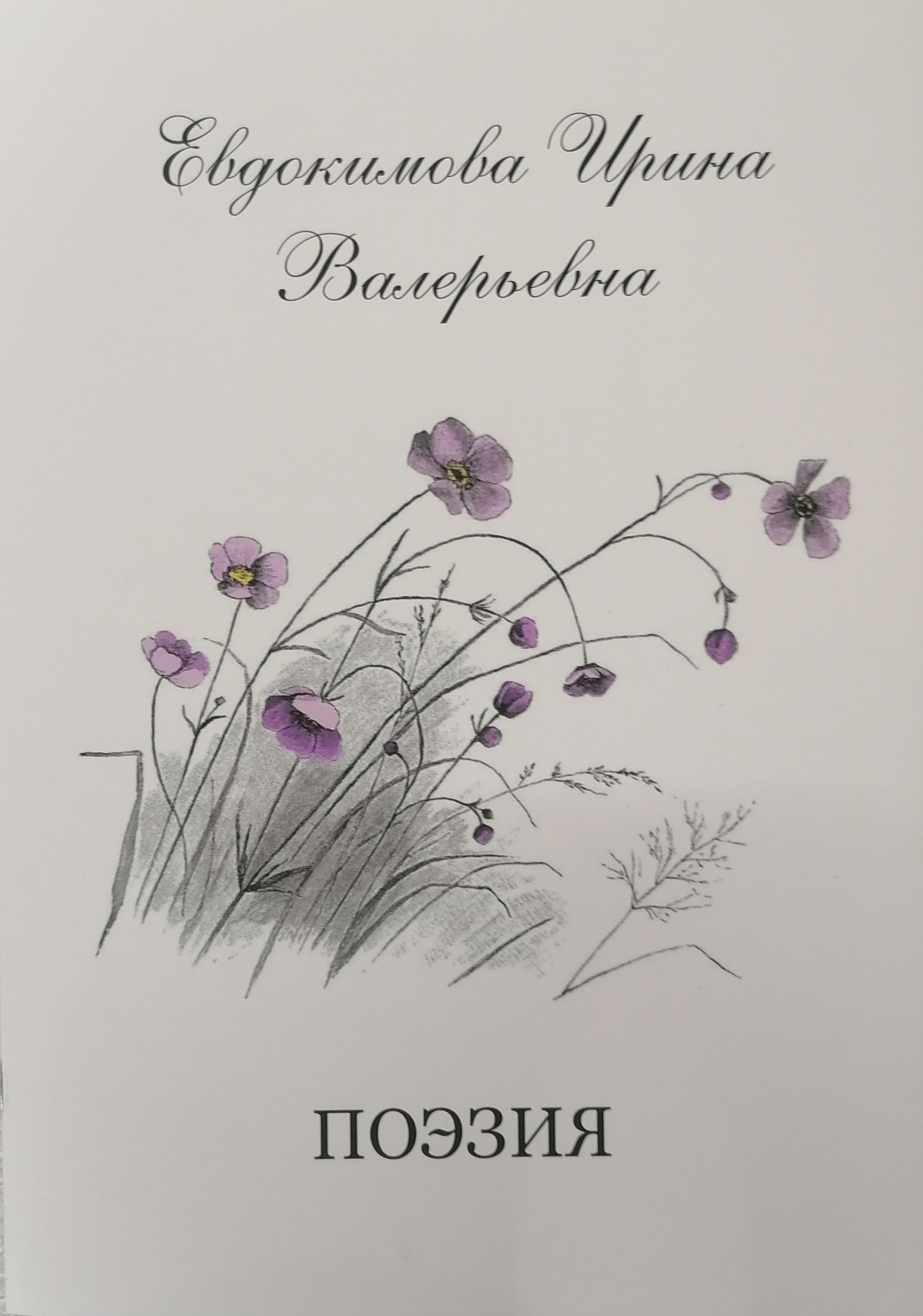 Книги в дар